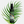 Load image into Gallery viewer, Hawaiian Jungle Shield - Single 2 oz. Spray
