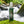 Load image into Gallery viewer, Hawaiian Jungle Shield - Single 2 oz. Spray